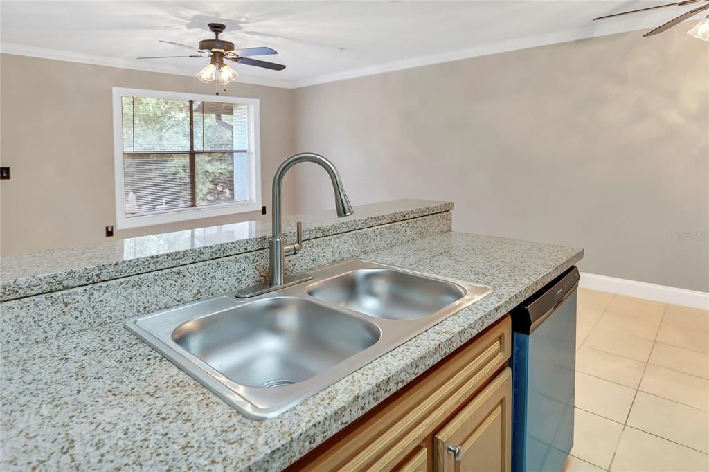 New Sink and Dishwasher