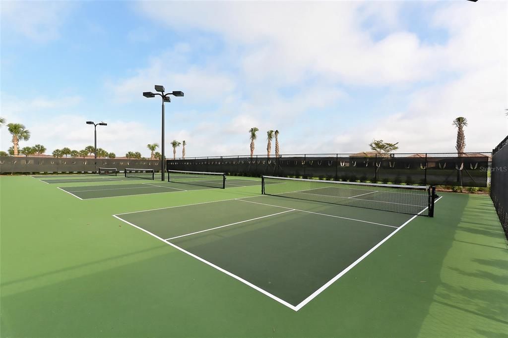 1 of 8 PickleBall Courts