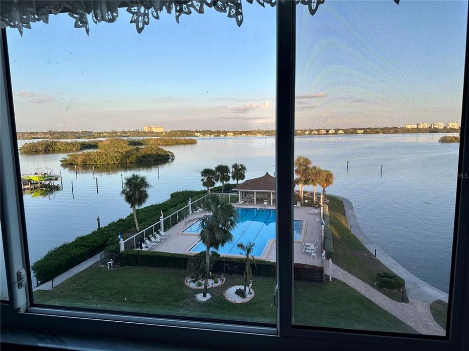 View of Pool and Little Sarasota Bay from the Primary Suite