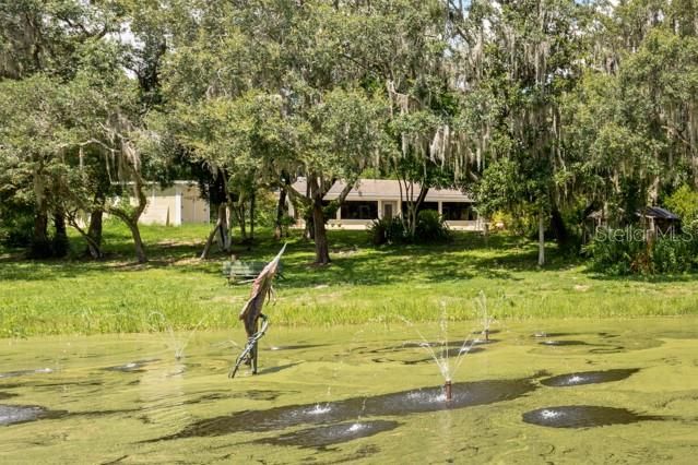 Pond and Cottage View