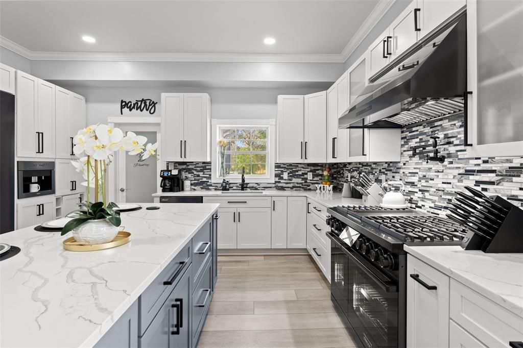 Dream Kitchen with luxury appliances