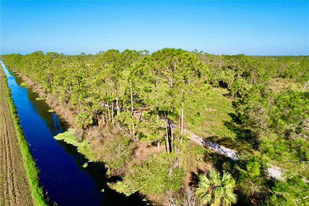 View of the Carlton Reserve.