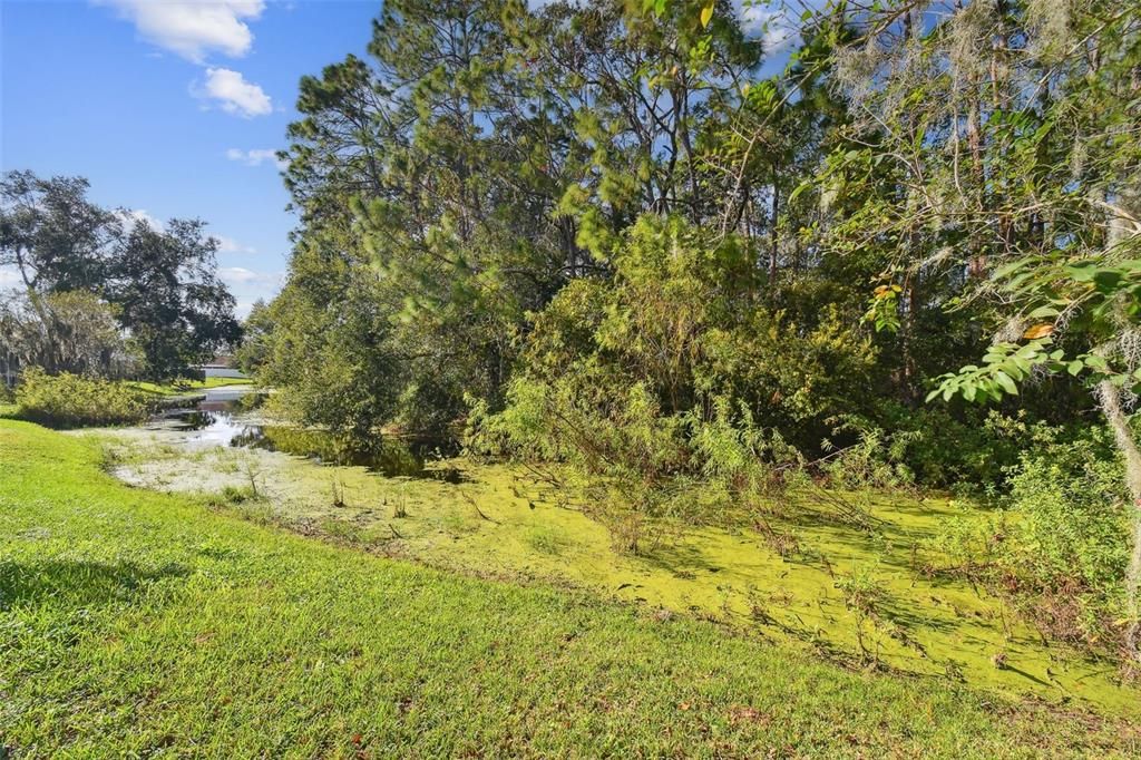 For Sale: $295,000 (3 beds, 2 baths, 1244 Square Feet)