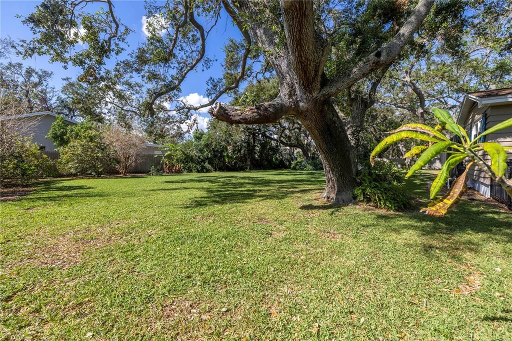 Huge back yard offers  mango, lemon and lime trees.