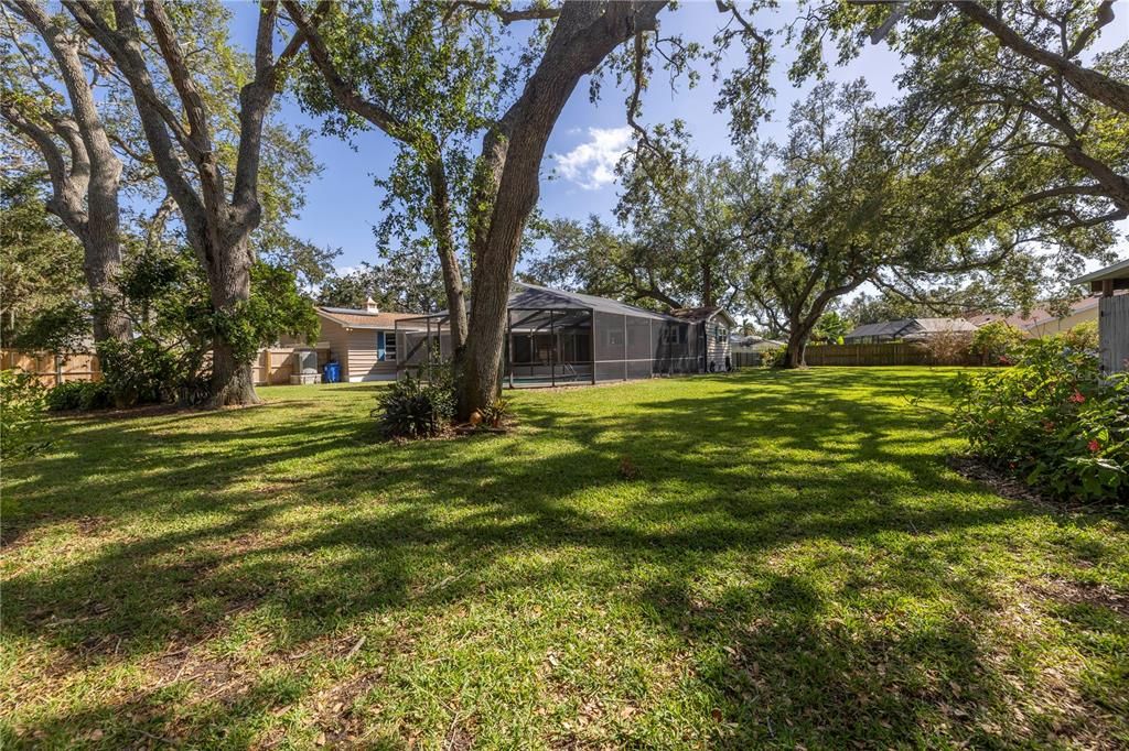 Huge back yard offers  mango, lemon and lime trees.