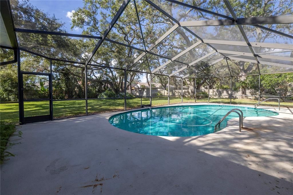 Gorgeous pool and screened enclosure.