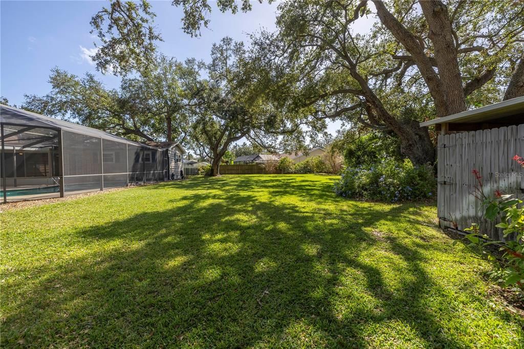 Huge back yard offers  mango, lemon and lime trees.