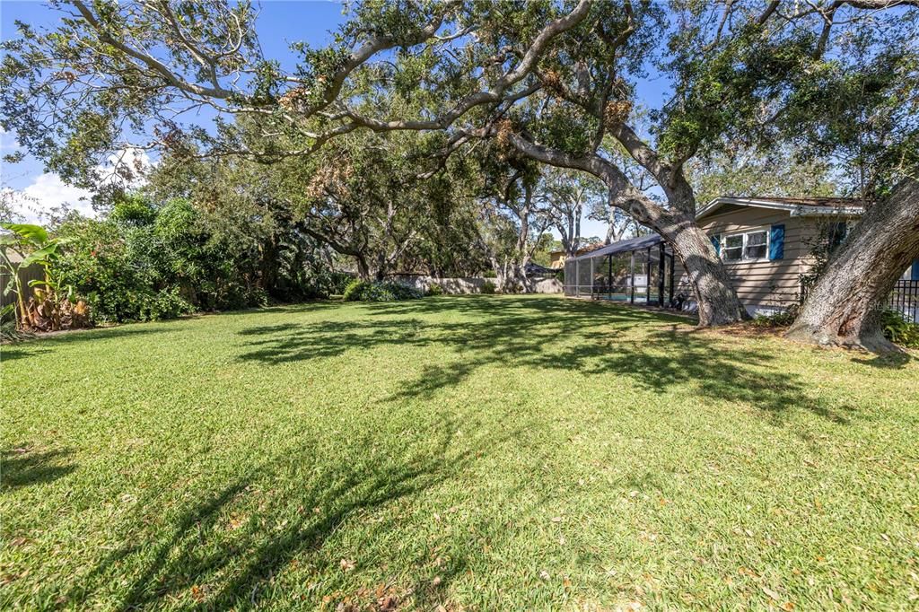 Huge back yard offers  mango, lemon and lime trees.