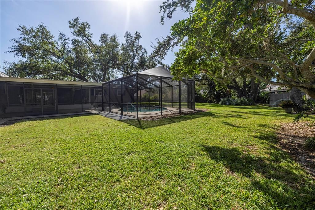 Huge back yard offers  mango, lemon and lime trees.