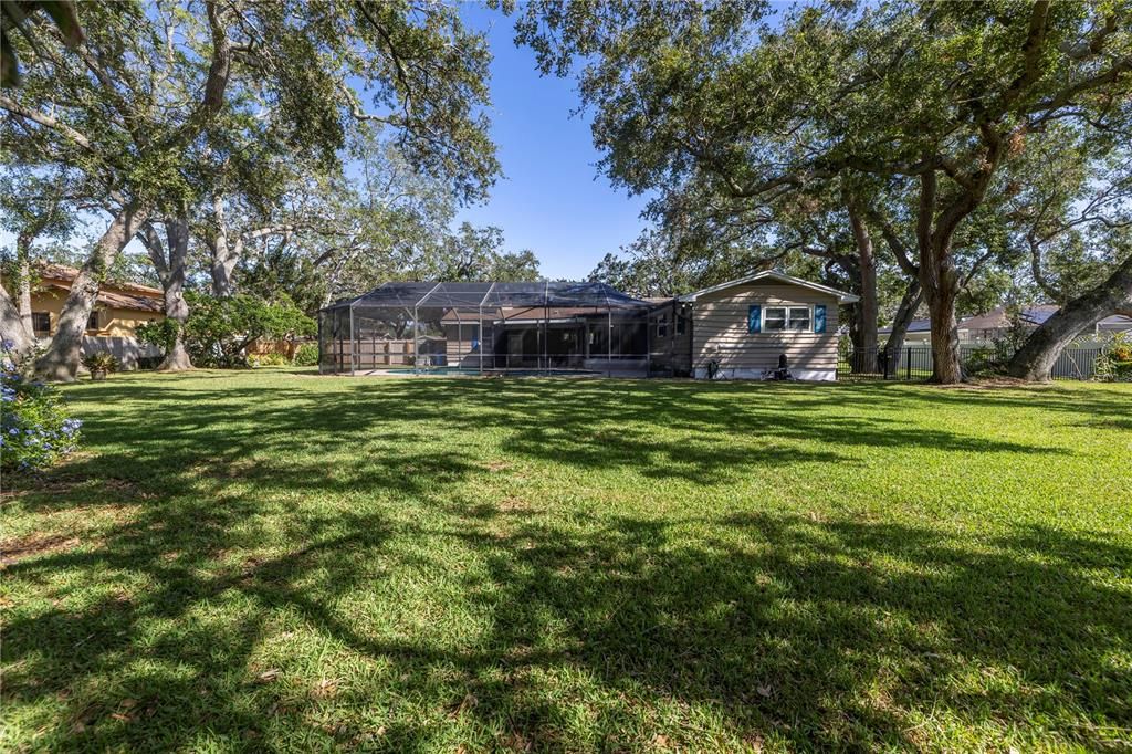 Huge back yard offers  mango, lemon and lime trees.