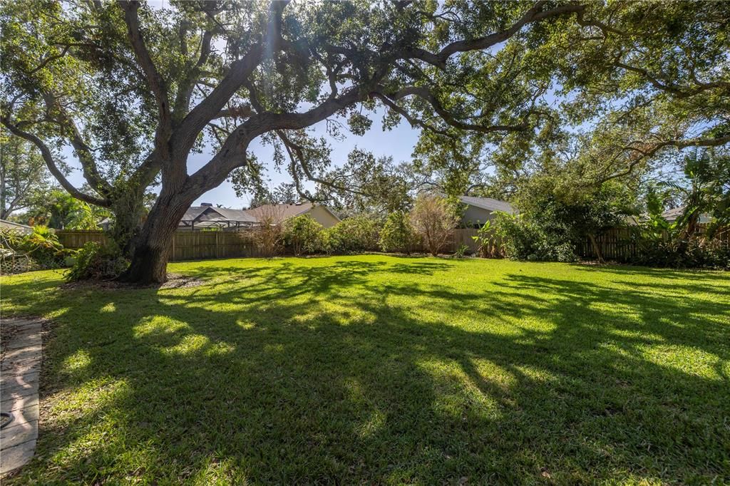 Huge back yard offers  mango, lemon and lime trees.