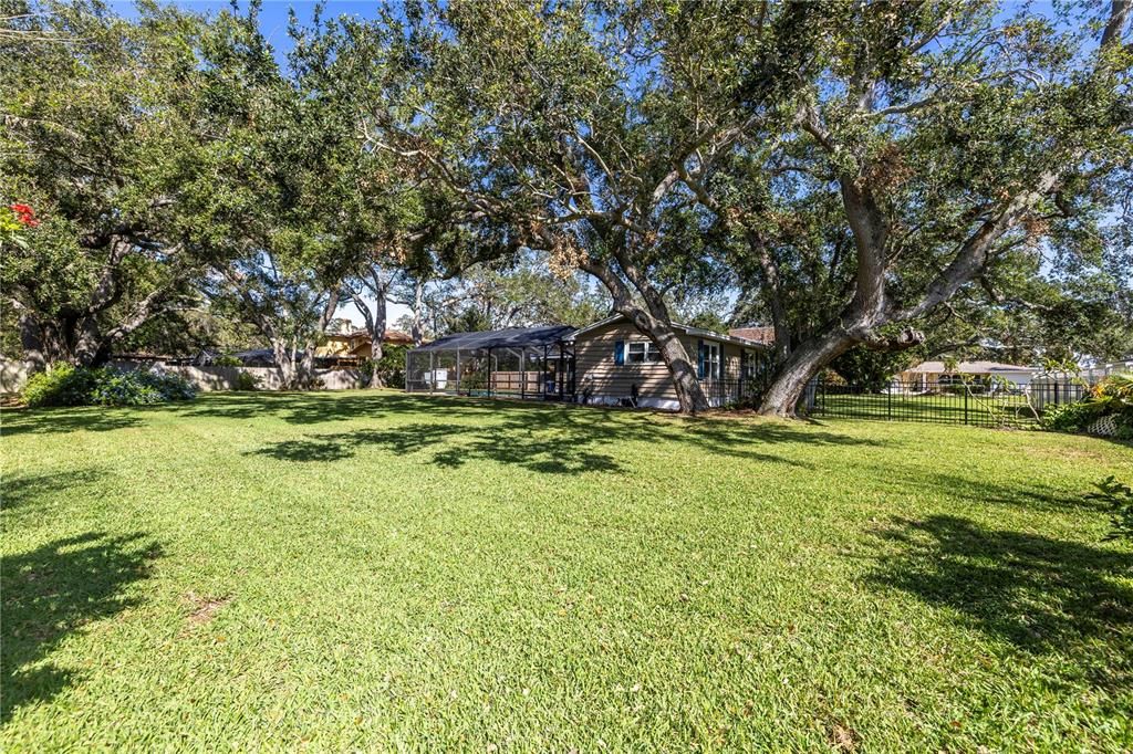 Huge back yard offers  mango, lemon and lime trees.