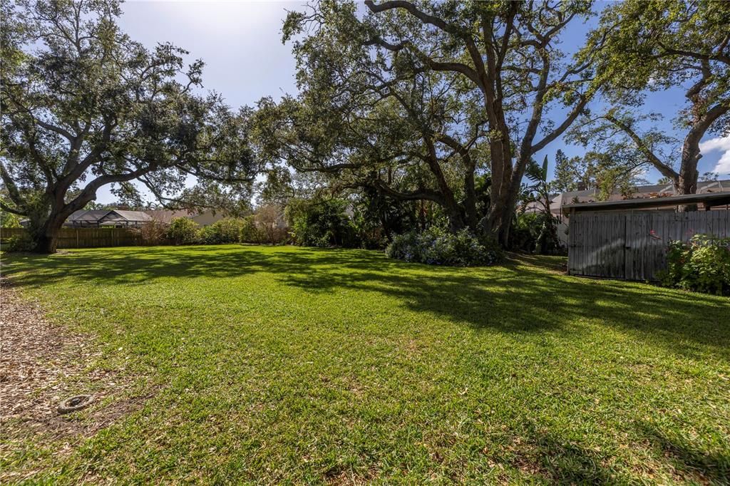 Huge back yard offers  mango, lemon and lime trees.