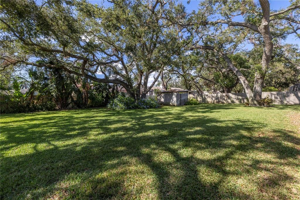 Huge back yard offers  mango, lemon and lime trees.