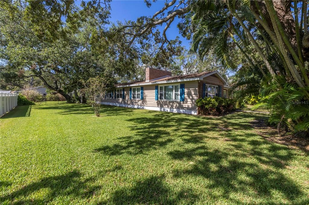 Spacious front side yard.