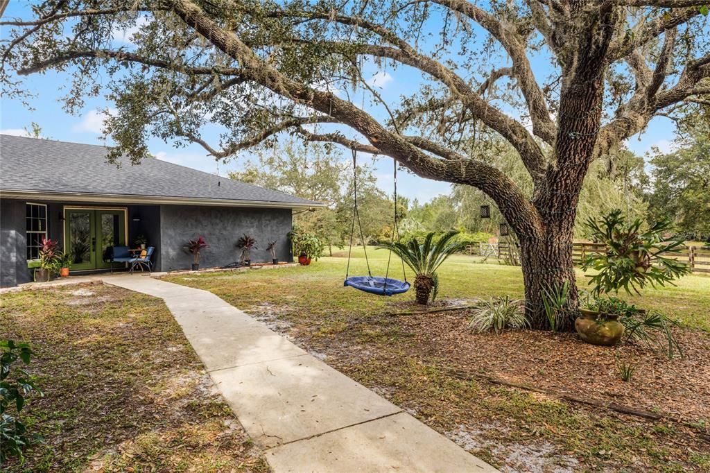 Front Yard and Walk