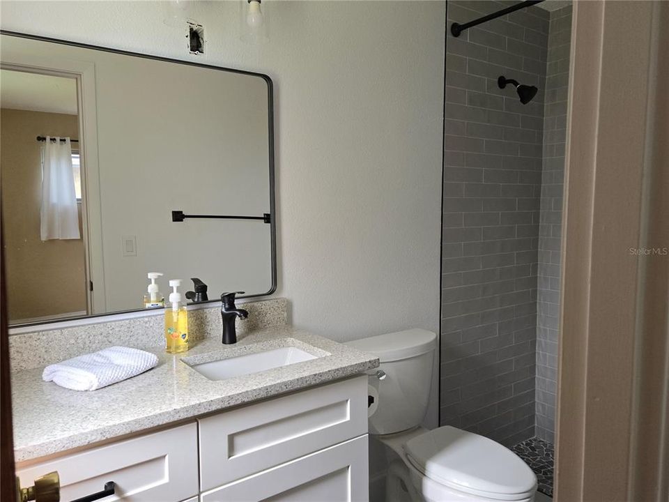 Primary Bathroom-Fully Remodeled