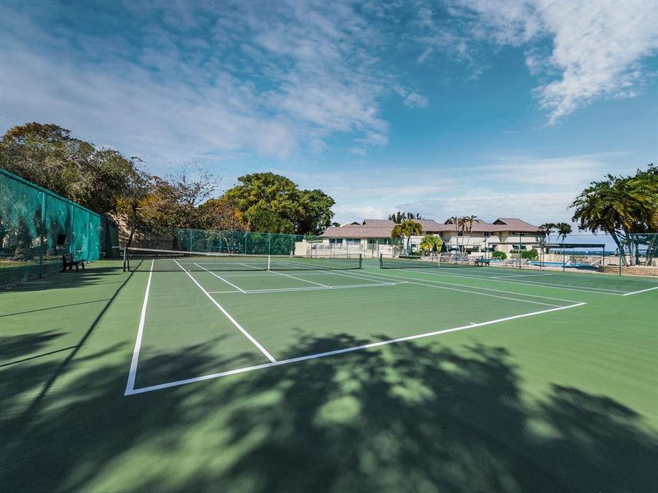 Courts for Tennis or Pickleball