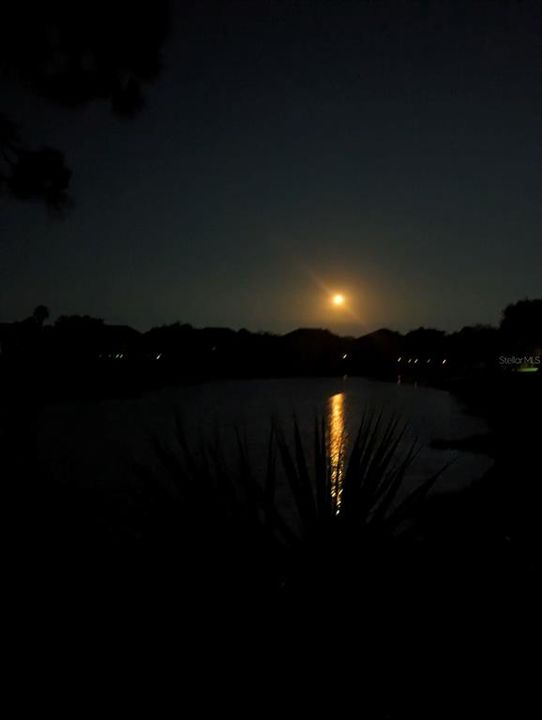 Lanai view of the launch