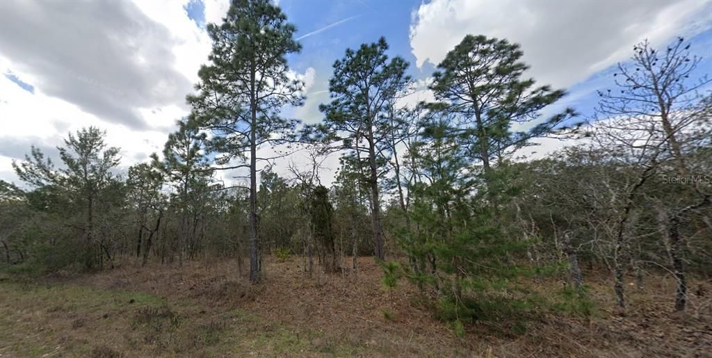 En Venta: $59,999 (1.05 acres)