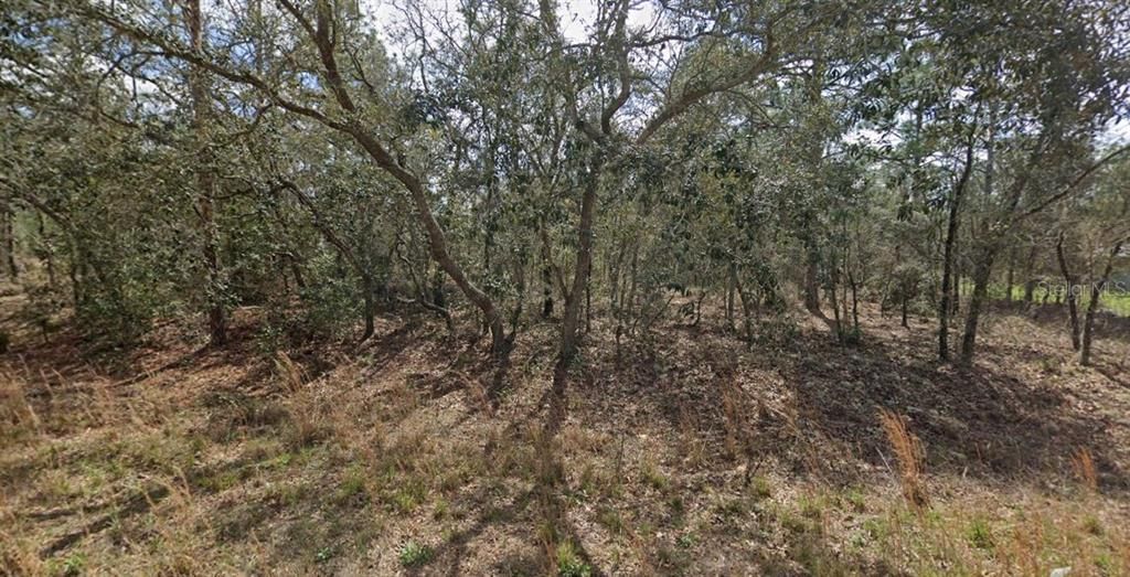 En Venta: $59,999 (1.05 acres)