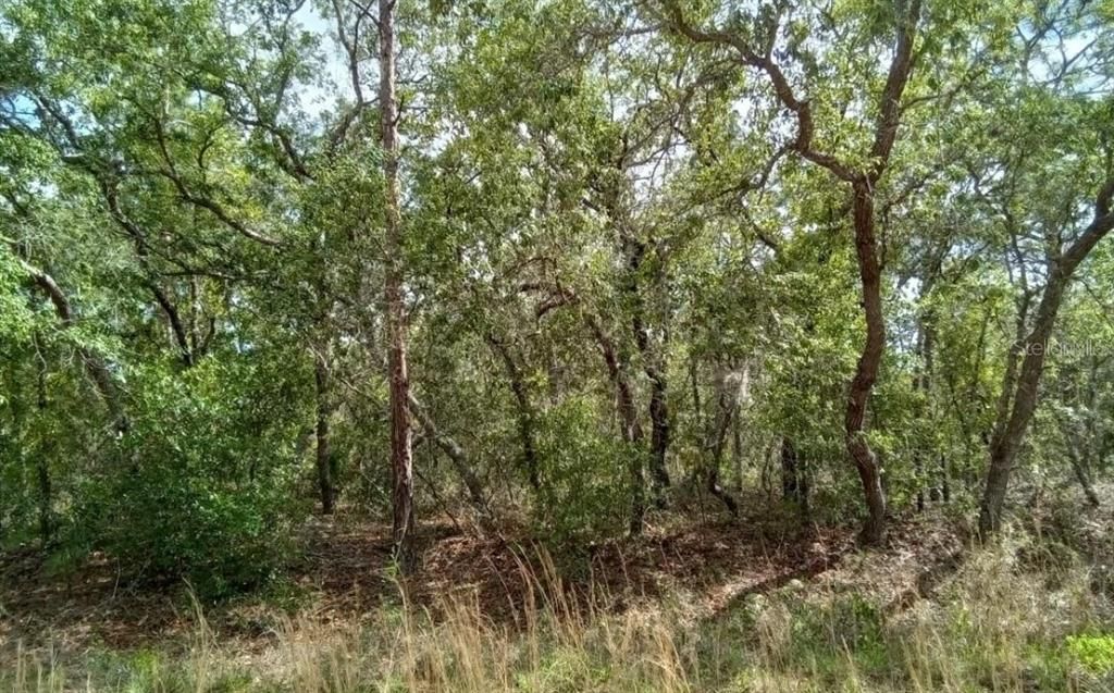 For Sale: $59,999 (1.05 acres)