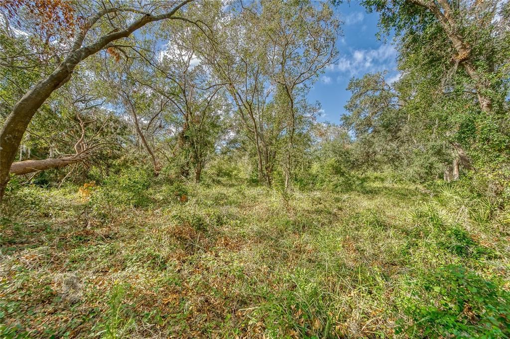 На продажу: $198,000 (1.70 acres)