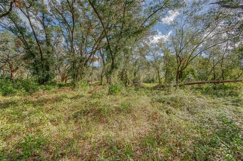 На продажу: $198,000 (1.70 acres)