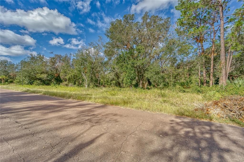 На продажу: $198,000 (1.70 acres)