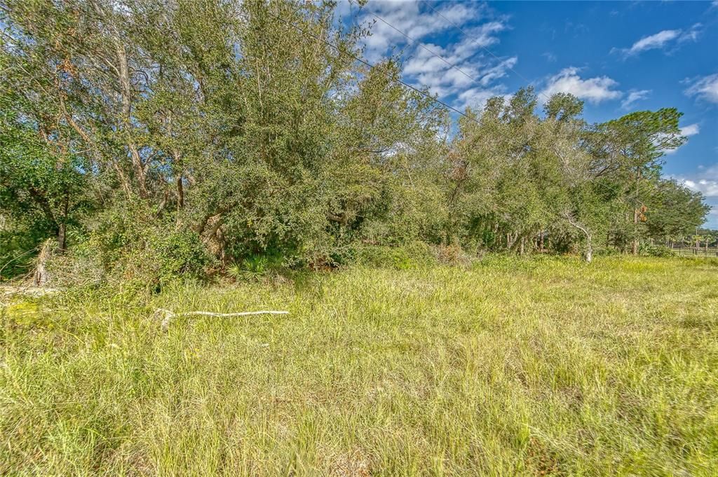 На продажу: $198,000 (1.70 acres)