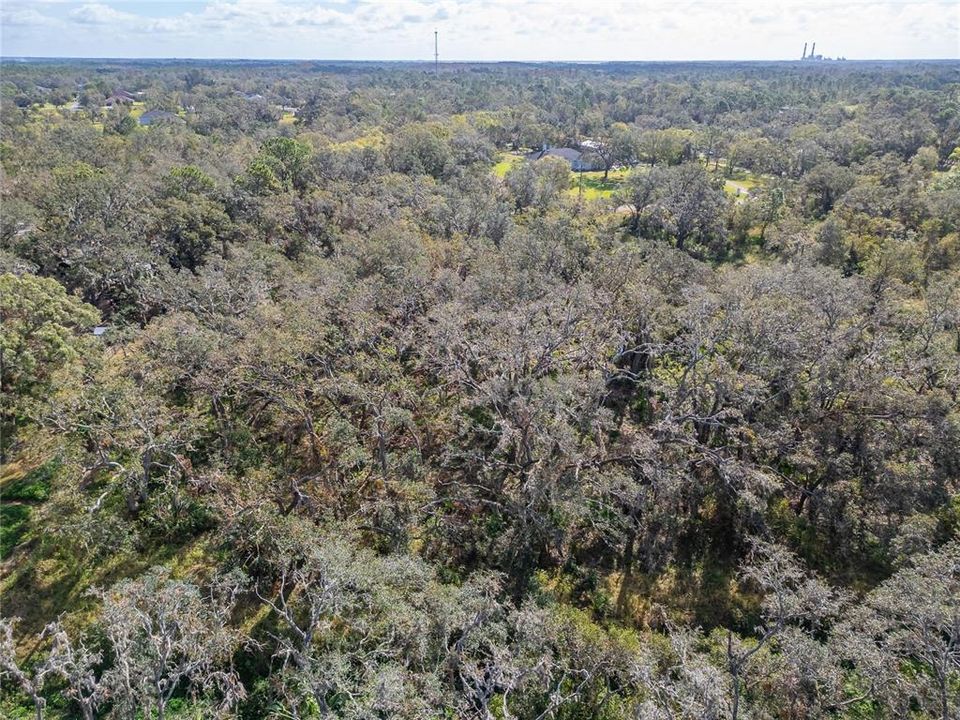 На продажу: $198,000 (1.70 acres)