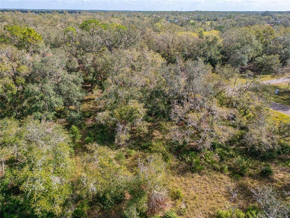 На продажу: $198,000 (1.70 acres)