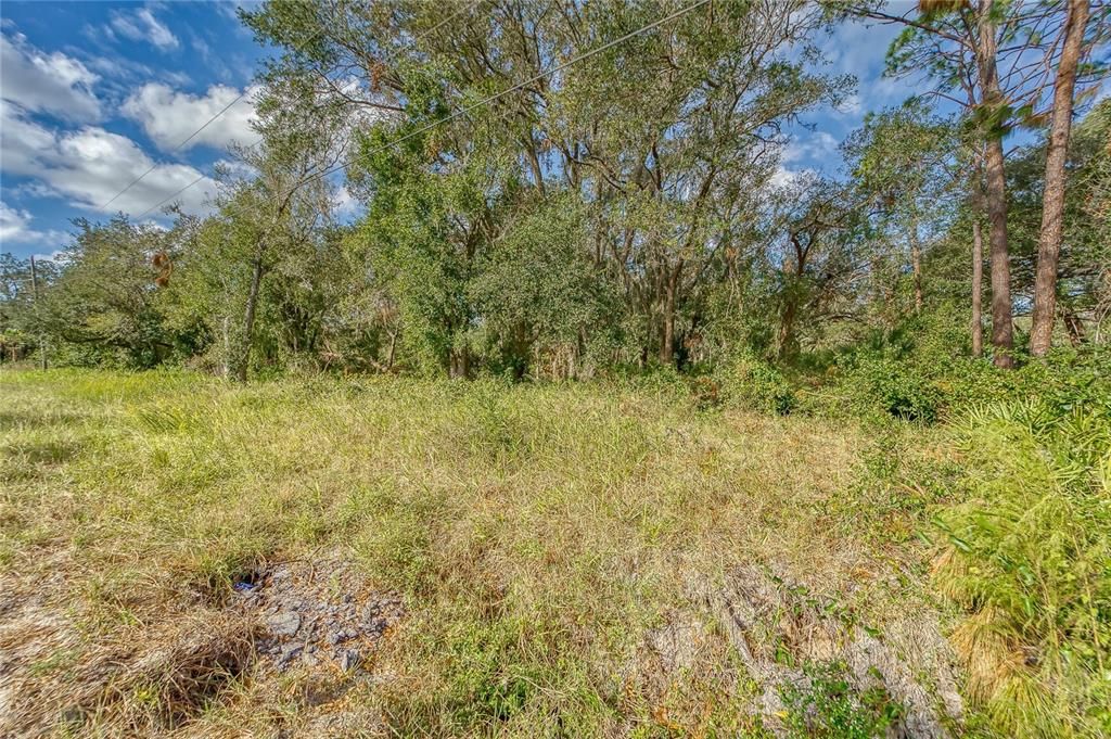 На продажу: $198,000 (1.70 acres)