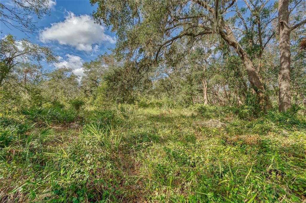 На продажу: $198,000 (1.70 acres)