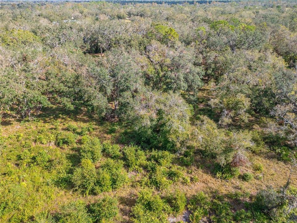 На продажу: $198,000 (1.70 acres)