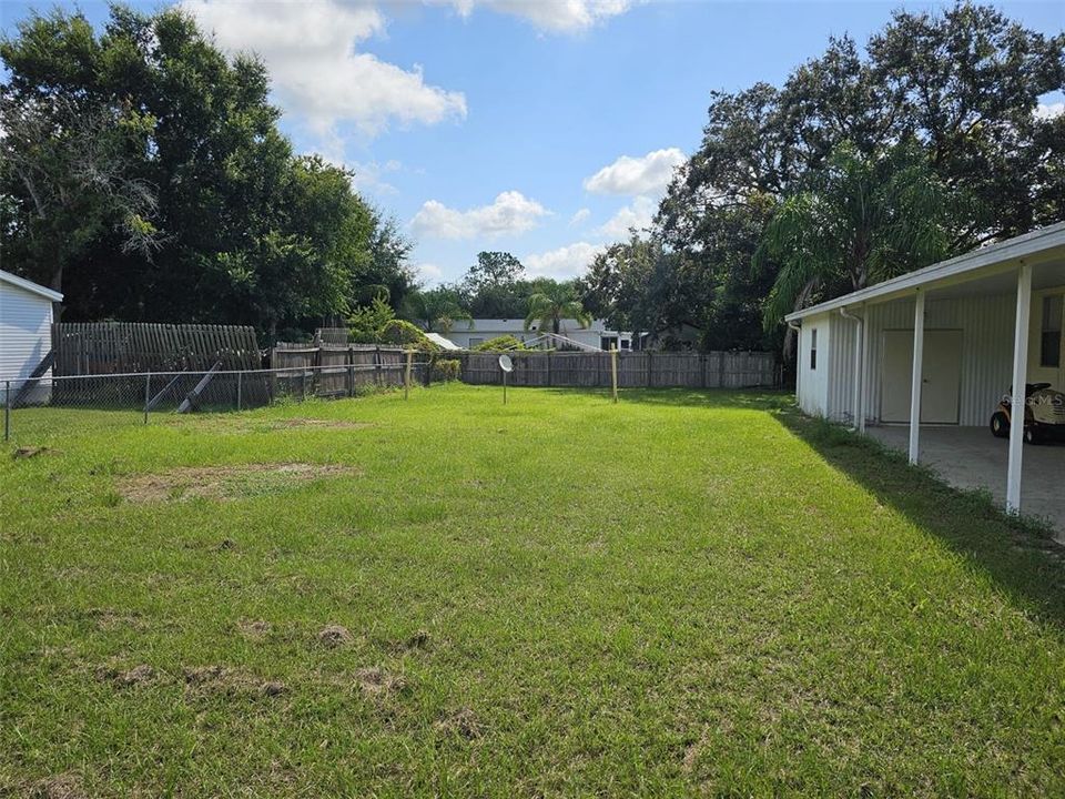 side yard cleared of all trees