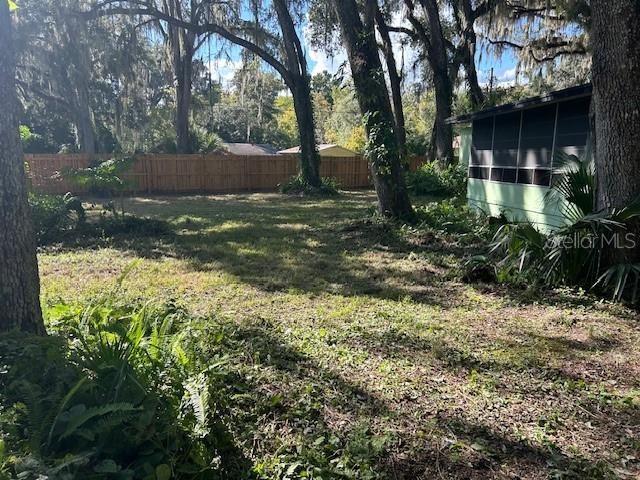 A view of the front yard from the driveway, with the enclosed front porch visible to the right.