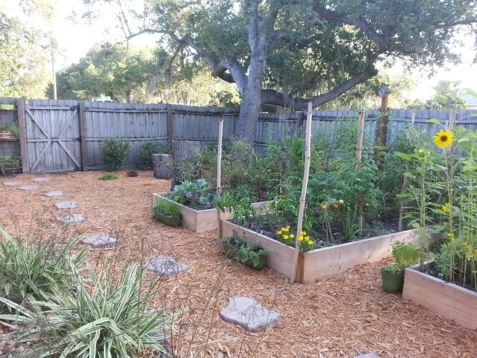 Fenced in side yard facing north east side