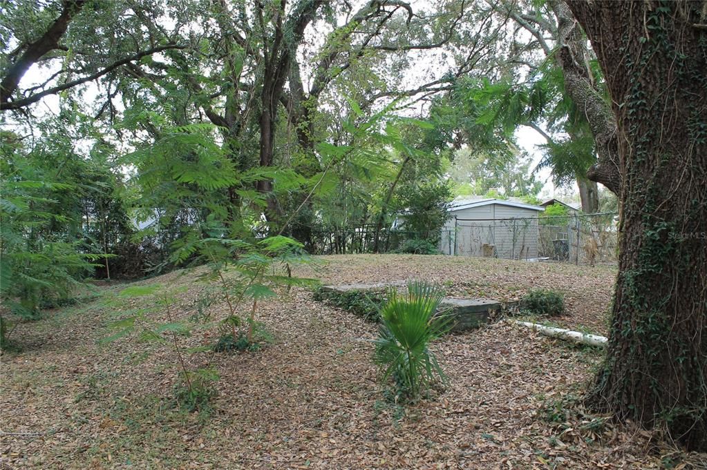 View of back yard