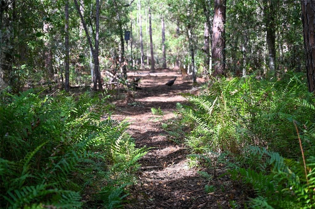 На продажу: $290,000 (22.57 acres)