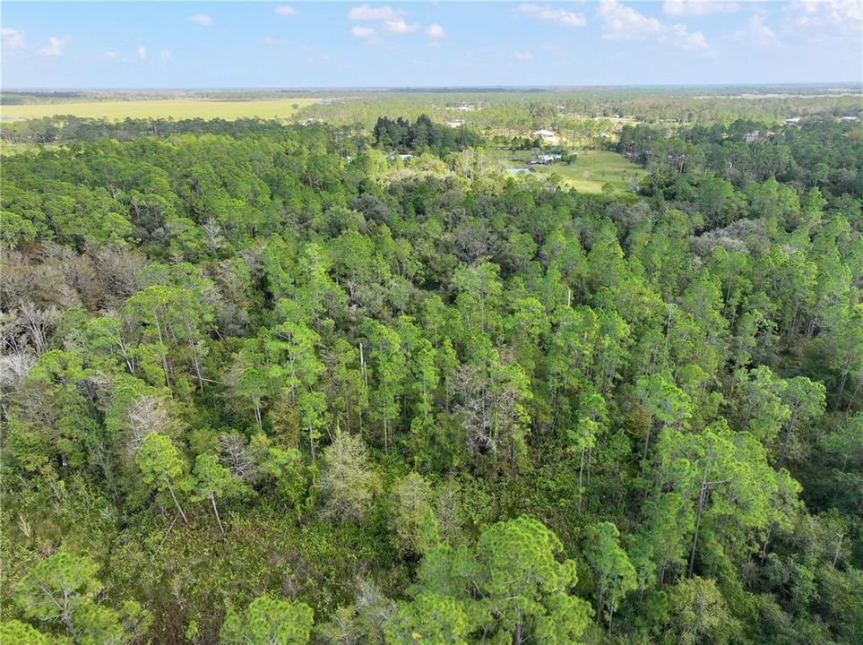 На продажу: $290,000 (22.57 acres)