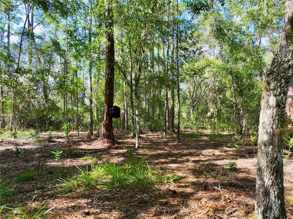 На продажу: $290,000 (22.57 acres)