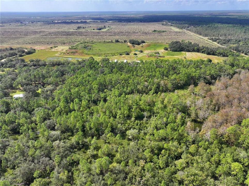 На продажу: $290,000 (22.57 acres)