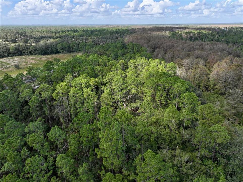 На продажу: $290,000 (22.57 acres)