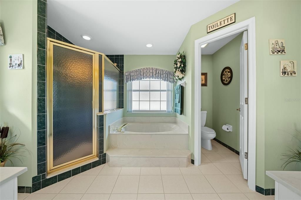 Owner's bathroom