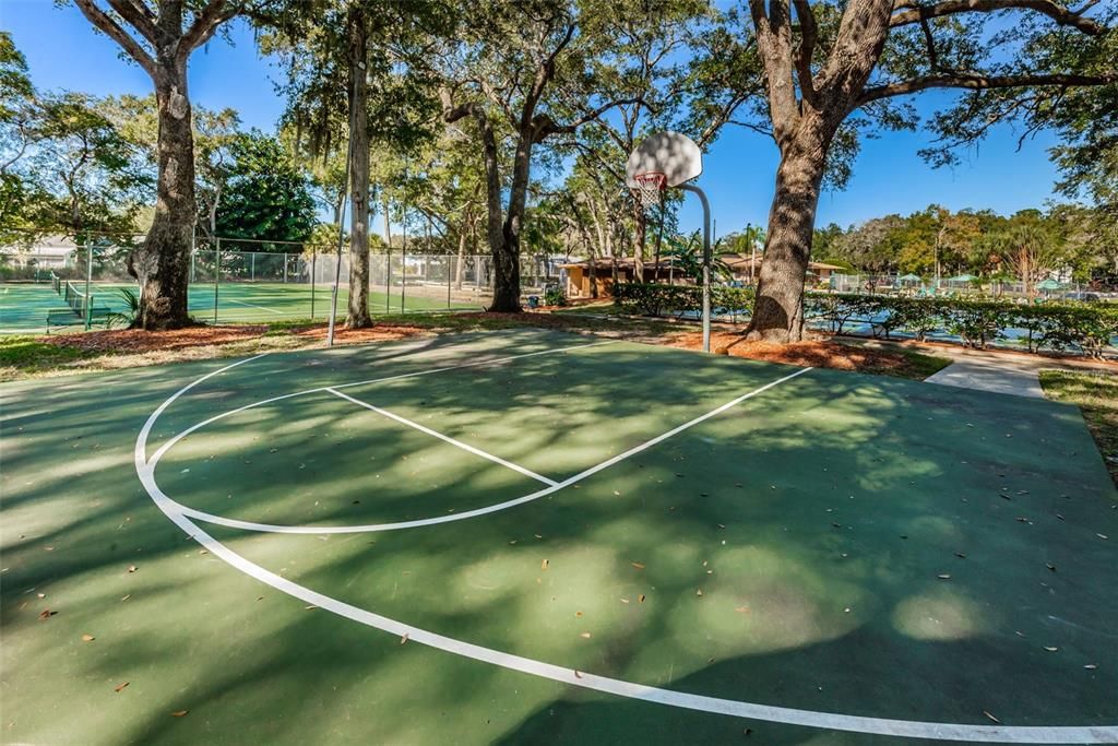 Basketball Court