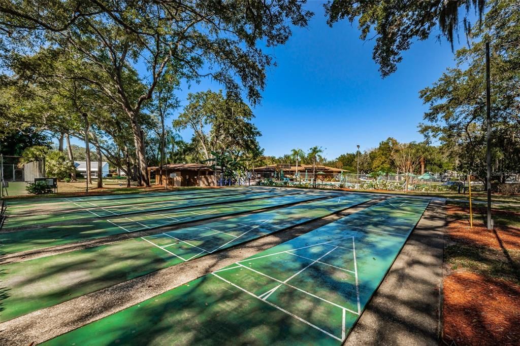 Shuffleboard Court