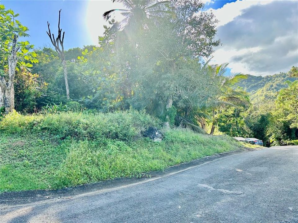 For Sale: $250,000 (15.99 acres)