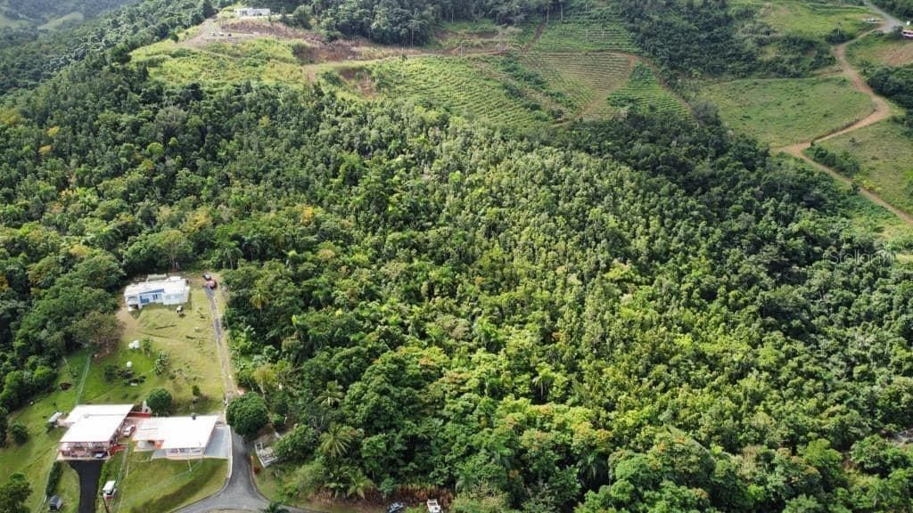 For Sale: $250,000 (15.99 acres)