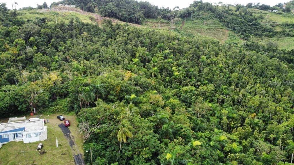 For Sale: $250,000 (15.99 acres)